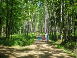 Санкт-Петербург: Удельный парк