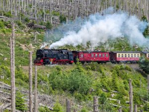 Вернигероде (Wernigerode): На паровозе на вершину Ведьминской горы (Брокен)